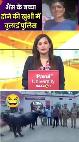 Bhains ke baccha hone ki khushi me 112 number/Police ko bula liya 😂🤔🤣 #viral #video #ajab #2025 #Baffalo