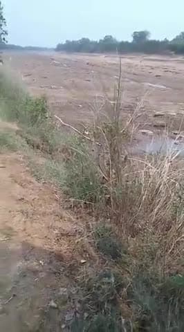बस्तर - ग्राम झारतरी इंद्रावती नदी काफी सुख चुका है बस्तर जिला #cgviral #news #chattisgarh #bastar #raipur #public