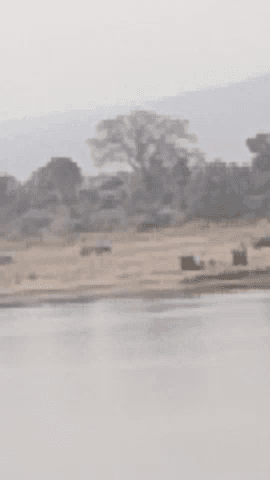 ret ki bekhof tarike se sareyam chori ki ja rahi he prashasan ki laparvahi is tarah raha to ma narmada ko chor pura khal
