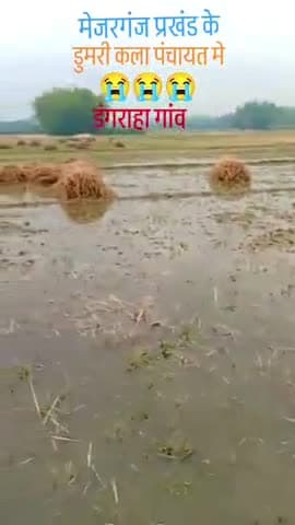 @bittu10333 bittu kumar