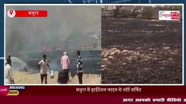 गोवर्धन में हाईटेंशन लाइन से लगी आग, किसान की 4 बीघा गेहूं की फसल राख
#गोवर्धन #हाईटेंशन #लाइन #आग #किसान