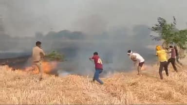 🛑रायबरेली-संदिग्ध हालत में गेहूं के खेत में लगी आग, आग की लपटें देखकर किसानों के उड़े होश।
#raibareli #news