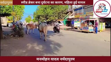 नर्मदापुरम: मालाखेड़ी का स्पीड ब्रेकर बना दुर्घटना का कारण, महिला हुई घायल
#malakhedi #narmadapuram
#accident #news