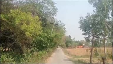 सिधौली: लटकती खंभे और लटक रहे बिजली के तारों से हो सकता हादसा जिम्मेदार बेपरवाह
#जिम्मेदार_लापरवाह #बिजली_विभाग #अटरिया