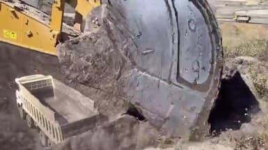 big bull cat #cat #jcb @cat @jcb