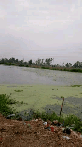 nanksgar me tablb ko patd ja raha hai or koi bi kuhh nahi kar raha hai