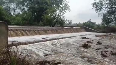 ओगणा क्षेत्र में मुसलाधार बारिश