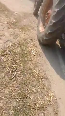 आज हमारे बेलसरी ग्राम में महर्षि मेही परमहंसजी महाराज कि जयंती