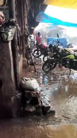 आपका भाई अकबर,,,चैनल को सब्सक्राइब करे,मुसाबनी की फिज़ाओं में आज फिर वही भीगी-भीगी सी ठंडक उतर आई है। सुबह से ही आसमान