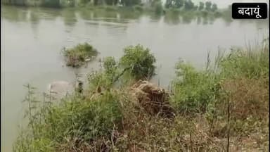 बदायूं:-सेल्फी लेते वक्त महिला का नदरई पुल पर फिसली,पैर फिसलने से नहर में बही, गोताखोर कर रहे तलाश।
#badaun #shorts