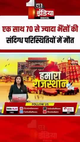 जलवाड़ा : गांव मैं एक साथ 70से जादा भैसों कि हुई मौत #भैंस #trendingnow #reelsinstagram #पब्लिक