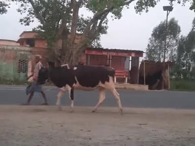 aab chalaga pani wala four wheels (char chaka)thar🤩😍😍😍janiya Kitna kiraya lagaga