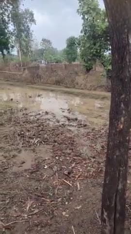 सोनभद्र के बभनी ब्लाक में हुई जबरदस्त बारिश #सोनभद्र #बभनी #ब्लाक