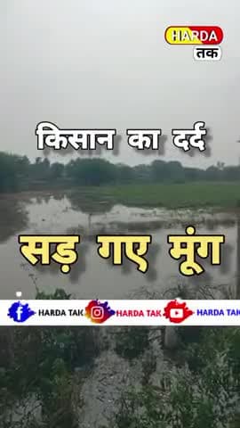 ।।HARDA।। खेत में भर गया पानी सड़ गई मूंग की फसल । #किसान #kisaan #short #viral #shorts #trand #viralreels #reel #reels