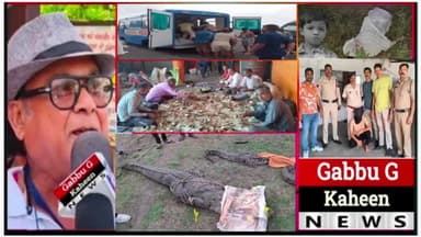 31,मई,शनिवार 👉मंदसौर में कुएं से निकाले तीन मगरमच्छ:👉दूधाखेड़ी माता मंदिर में दान मै निकले 85 लाख:#updat#news #let