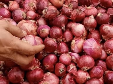 कल से ₹25/किलो की दर से प्याज़ बेचेगा भारतीय राष्ट्रीय उपभोक्ता सहकारी संघ #प्याज़