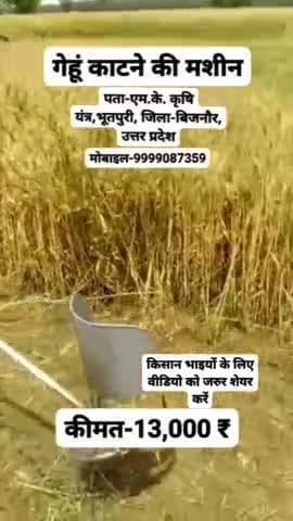 #गेहूं_काटने_की_मशीन, Call-9999087359 Add- MK Krishi Yantra, #Bhootpuri, #Bijnor, UP
#brushcutter #ricecutter @bhaayyadavofficial