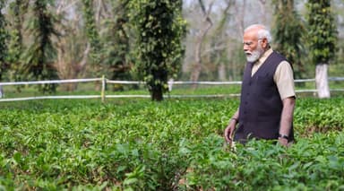 असम की चाय पूरी दुनिया में पहुंच चुकी है: राज्य के चाय बागान पहुंचे पीएम मोदी #चाय #मोदी