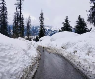 हिमाचल में येलो अलर्ट जारी, बर्फबारी और बारिश का अनुमान #बर्फबारी #येलो_अलर्ट
