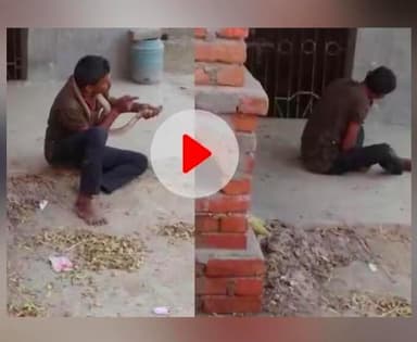 नवादा में शराब के नशे में कोबरा को पकड़कर खेलते हुए शख्स का वीडियो आया सामने, सांप के डसने के बाद हुई मौत #कोबरा
