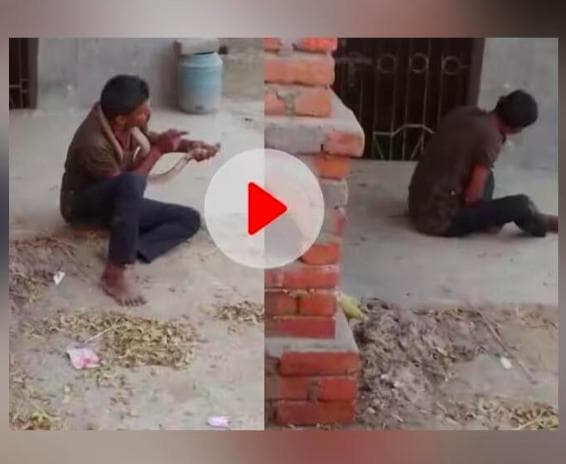 नवादा में शराब के नशे में कोबरा को पकड़कर खेलते हुए शख्स का वीडियो आया सामने, सांप के डसने के बाद हुई मौत #कोबरा