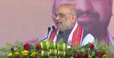 बिहार में बीजेपी की सरकार बनने पर दंगाइयों को उल्टा लटकाकर सीधा कर देंगे: अमित शाह #दंगा #राजनीति