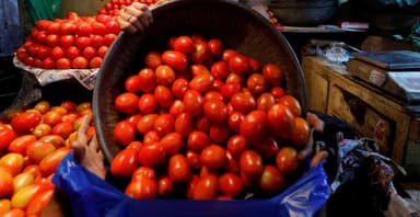 देश में टमाटर की कीमतें गिरकर हुईं ₹20/किलोग्राम #टमाटर