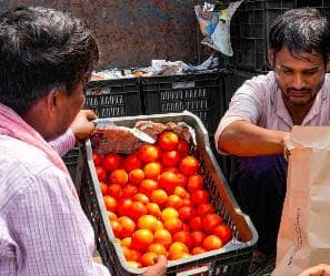 दिल्ली में ₹250/किलोग्राम के पार पहुंची टमाटर की कीमत #टमाटर