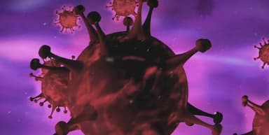 कोविड-19 से 7 गुना अधिक घातक हो सकती है अगली महामारी 'डिज़ीज़ एक्स', 5 करोड़ लोगों की हो सकती है मौत: एक्सपर्ट #महामारी