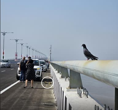 मुंबई में खुले नए अटल सेतु पर लोगों ने फैलाई गंदगी, तस्वीरें लेने के लिए रोकीं गाड़ियां #अटल_सेतु