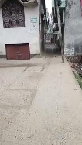 सिवान: #siwanweather #siwan #siwannews #siwansp #SiwanDm #Siwanssp