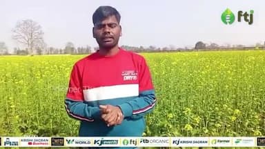 पछेती सरसों की फसल में कैसे करें माहू कीट की पहचान, जानें रोकथाम का तरीका
#agratodaynews #agriculure #farming #farmlaw