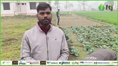 पत्ता गोभी के साथ मेड़ पर करें ग्लेडियोलस और सलाद के खेती
#cabbage #agrifarm #farming #agriculture #farmer #delhi