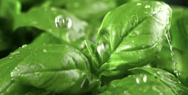 भारत में इस साल सामान्य से 6% अधिक बारिश होने की संभावना: मौसम विभाग #मॉनसून