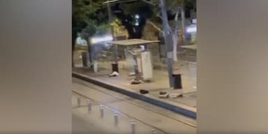 इज़रायल के तेल अवीव में हुई अंधाधुंध गोलीबारी, सड़कों पर बिछी दिखीं लाशें #इज़रायल #युद्ध