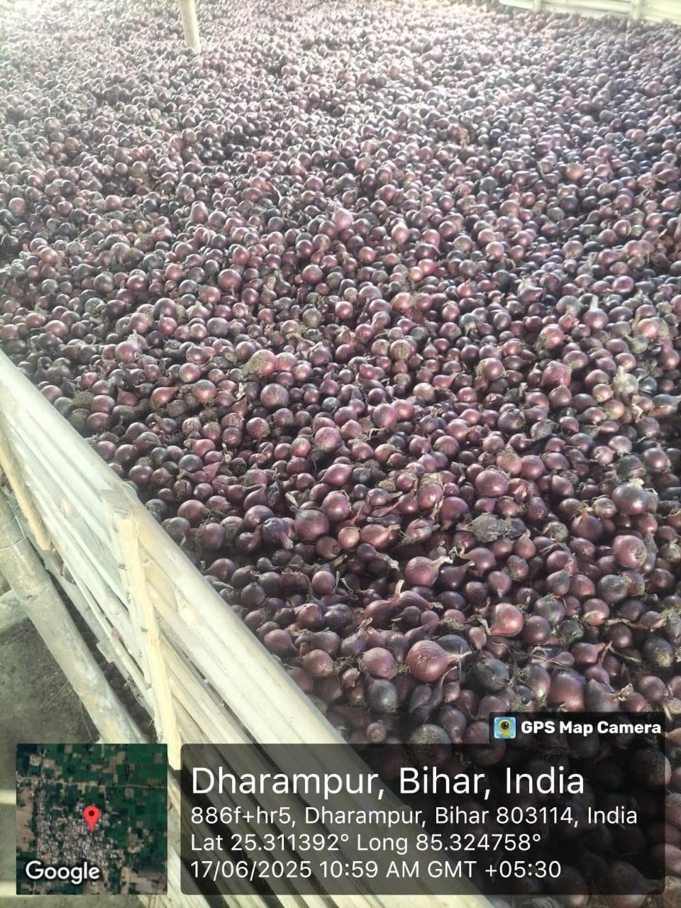 किसानों के हित में सरकार की एक और बड़ी पहल 🌾🧅
अब प्याज भंडारण के लिए मिलेगा अनुदान पर आधुनिक संरचना की सुविधा!