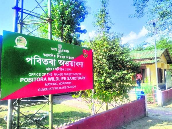 Morigaon