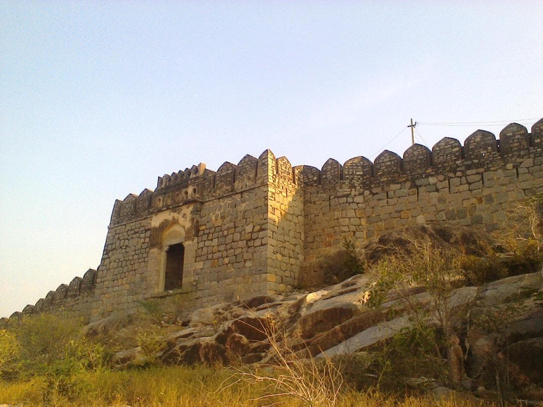 Narayanpet