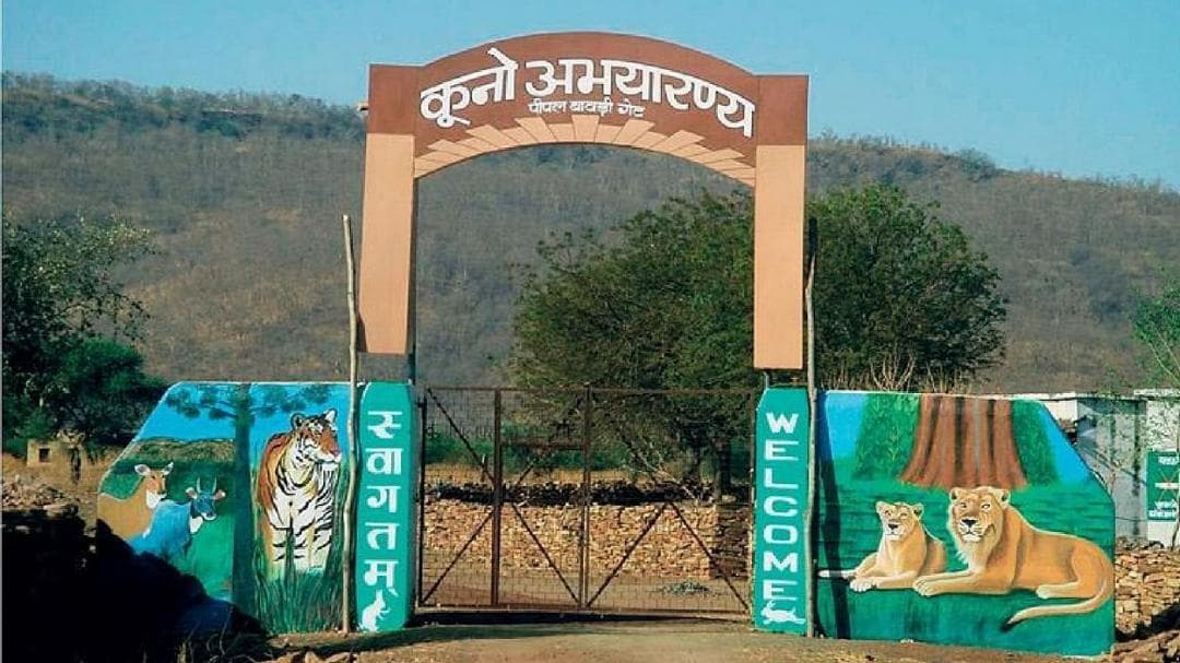 Sheopur