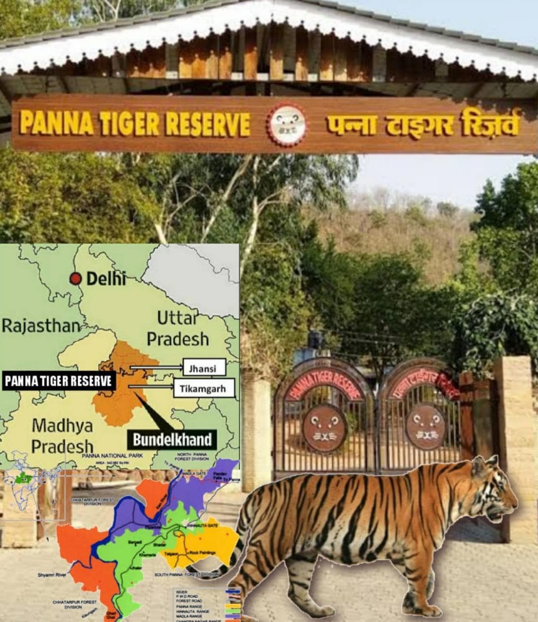 Panna