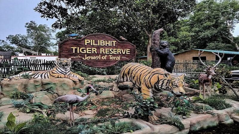 Pilibhit