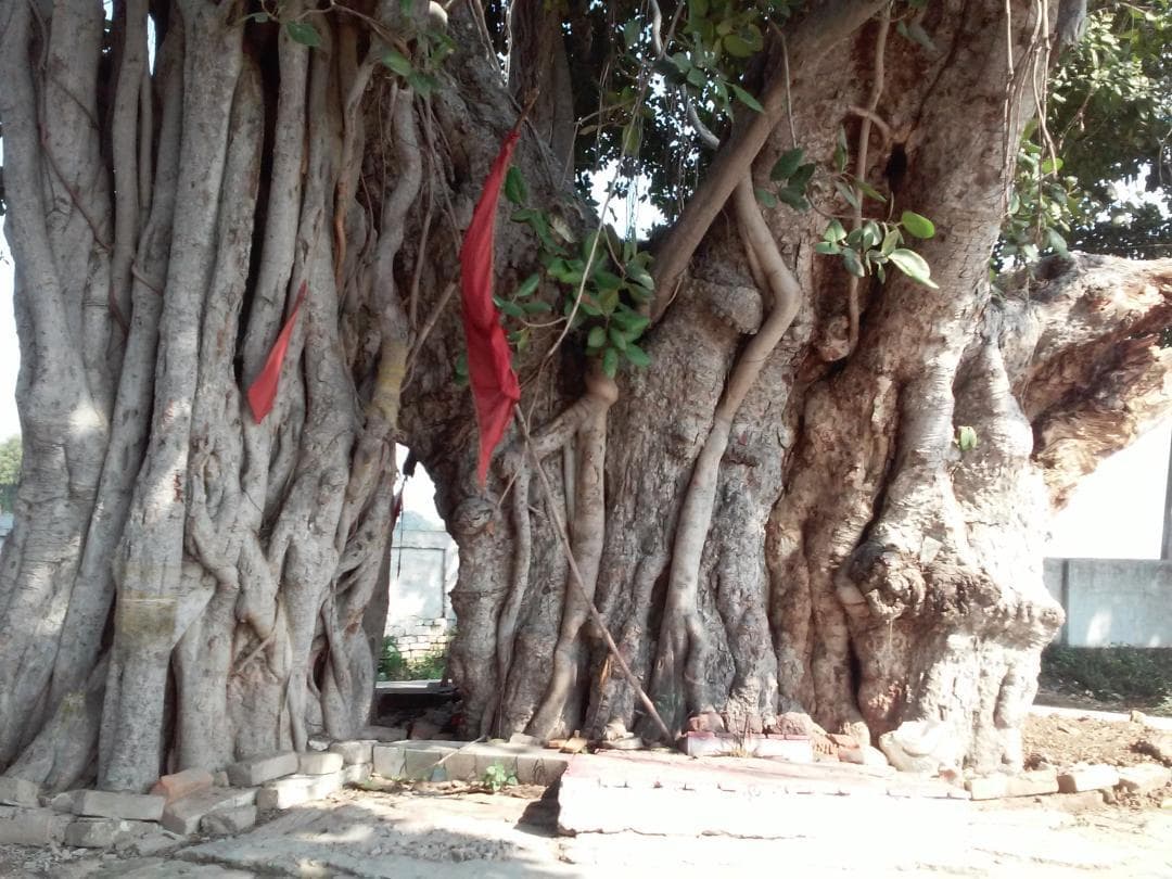 Kanpur Dehat