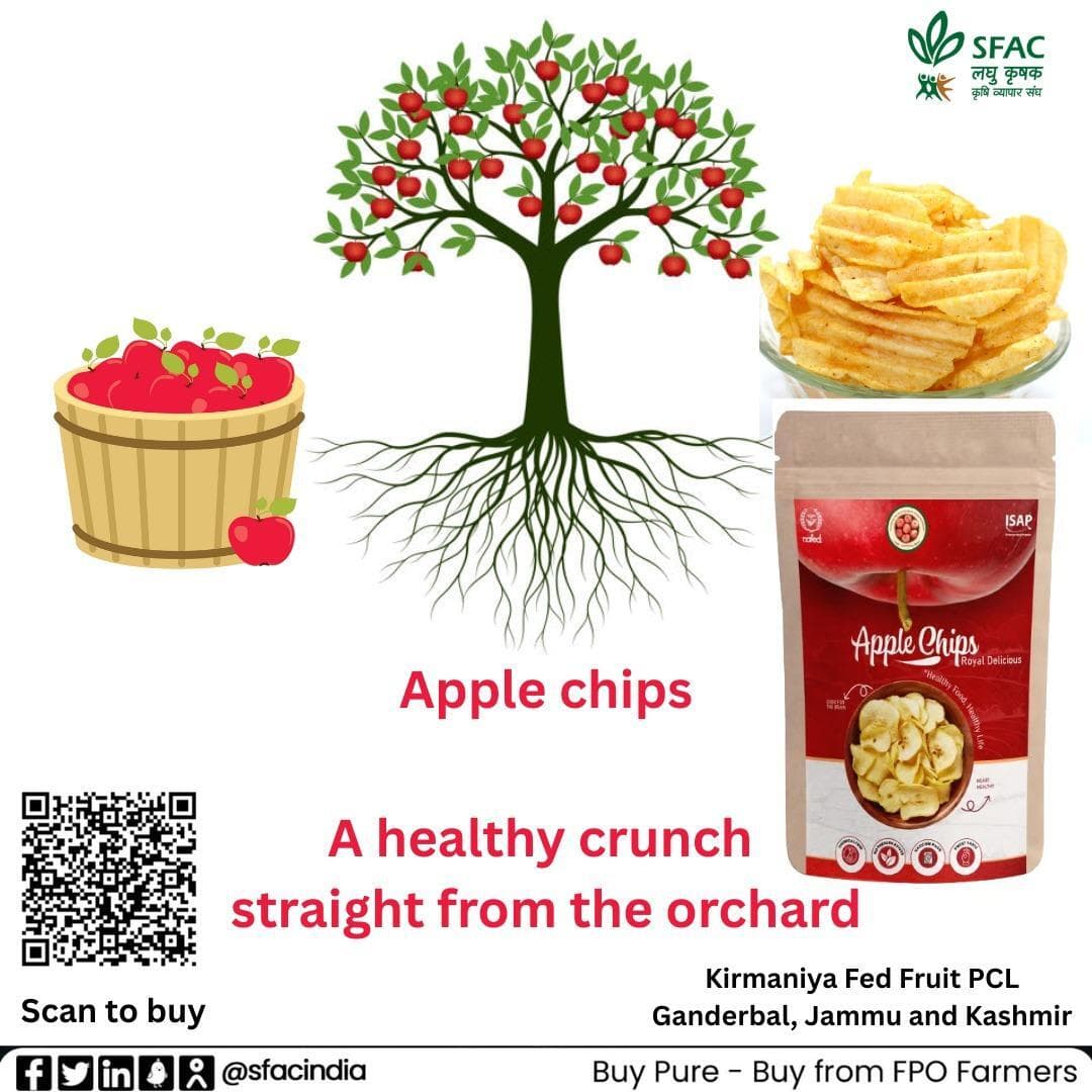 Made from farm-fresh apples & carefully dried to lock in nutrients, these chips are a wholesome snack for every craving.