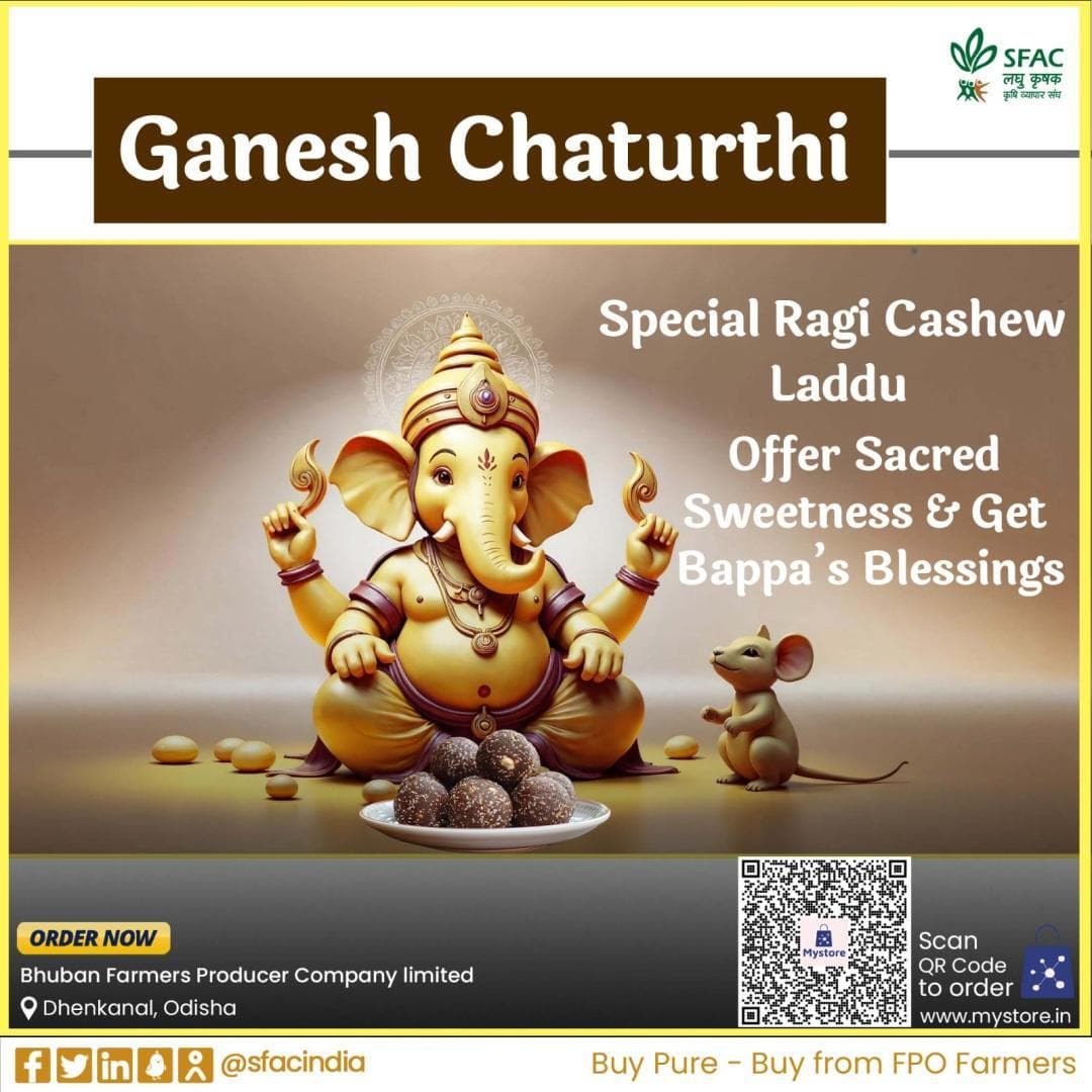 This Ganesh Chaturthi, offer sacred sweetness to Lord Ganesha with wholesome ragi cashew laddus, made by FPO farmers.