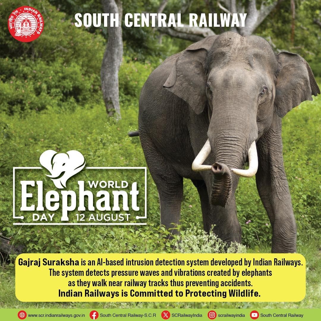 On #WorldElephantDay, Indian Railways reaffirms its commitment to protecting wildlife and ensuring safe coexistence ЁЯРШ