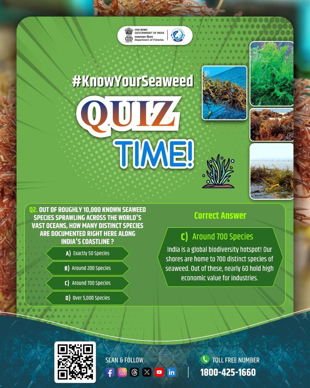 #KnowYourSeaweed Quiz (Q2)
Did you get it right? Here’s the correct answer! 🎯
