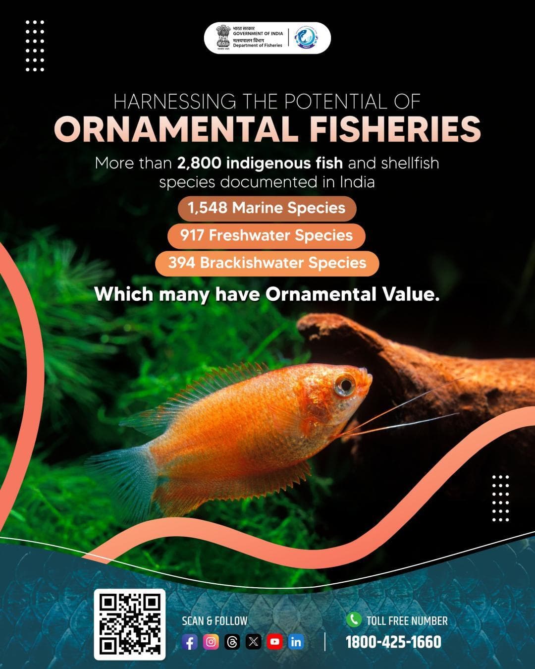 India’s rich aquatic biodiversity offers immense potential for the growth