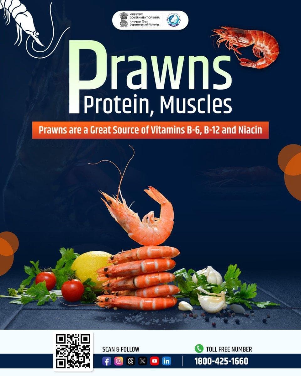 Packed with high-quality protein and essential nutrients, prawns are a nutritious addition to a balanced diet.