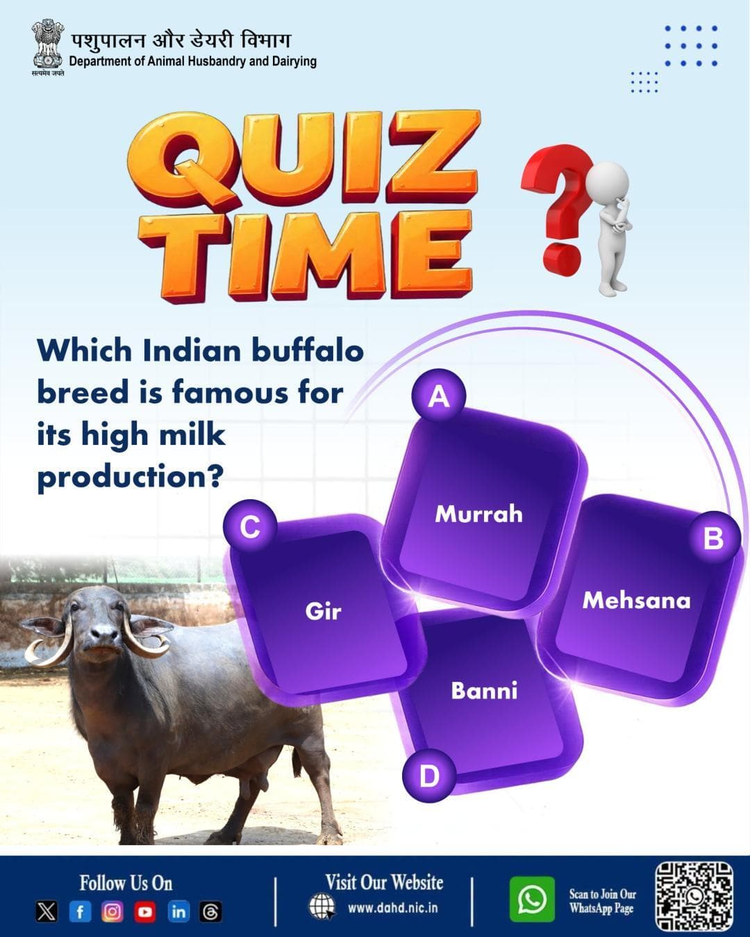 QUIZ TIME! ЁЯза
Which Indian buffalo breed is famous for its high milk production?
ЁЯТм Share your answer in the comments
