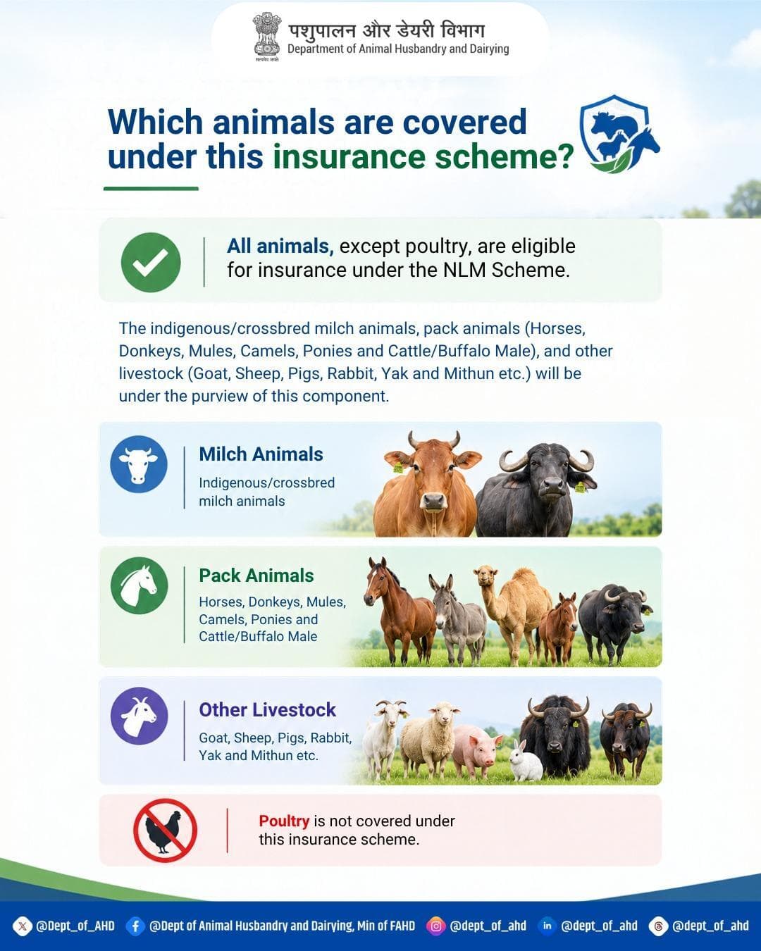 Get NLM livestock insurance for cattle, pack animals & small livestock (excl. poultry)
